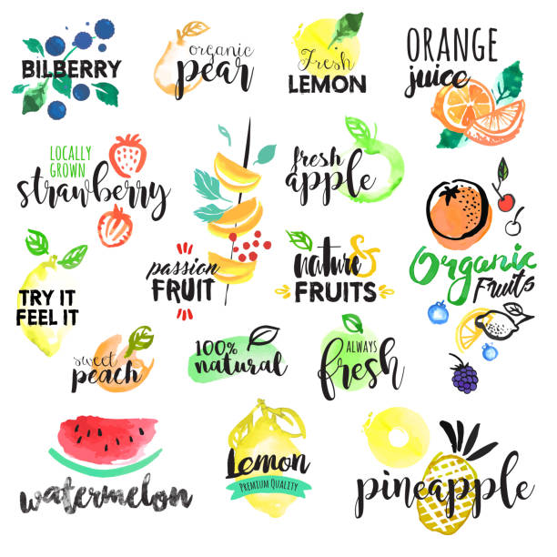 нарисованный от руки набор этикетки и наклейки в виде фруктов - fruit vector typescript illustration and painting stock illustrations