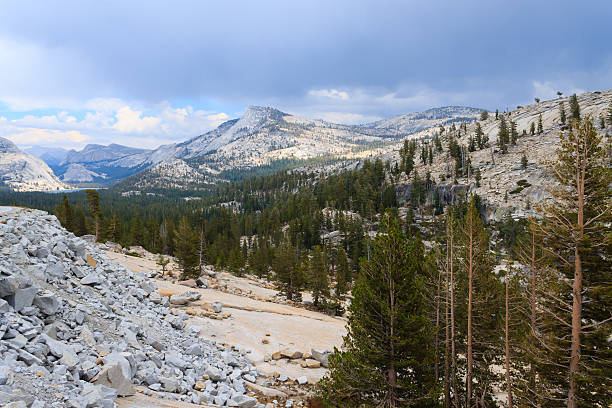 istock Panorama from Yosemite National Park 541823188