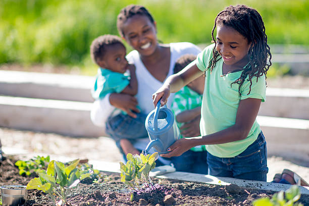 istock Little Girl Water the Vegetables 541823312