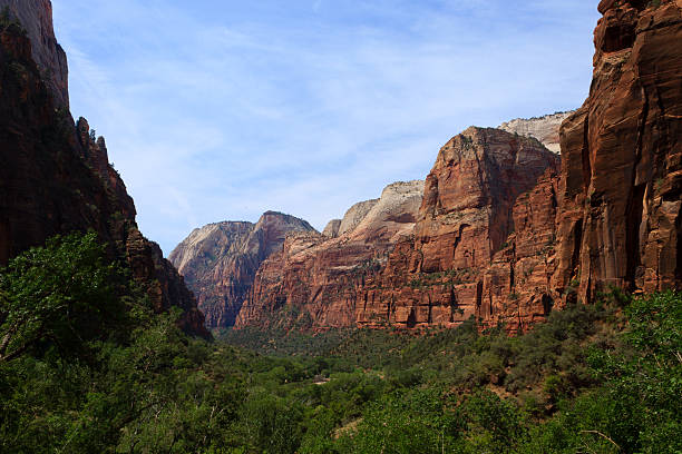 istock Panorama from Zion National Park 541824458