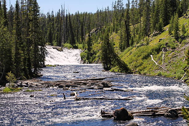istock Yellowstone National Park 541825072