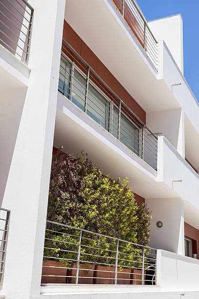 istock plant in pots on balcony 541825564