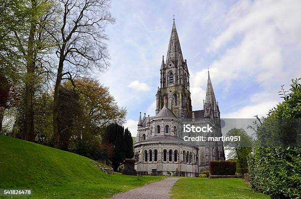 Riesige Kathedrale In Der Stadt Cork In Irland Stockfoto und mehr Bilder von Corcaigh - Corcaigh, Architektur, Baum