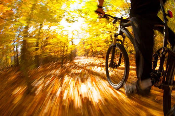 istock Mountain biking along a trail in the bright sun. 541826602
