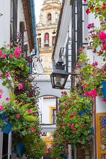 istock Narrow Street 541828434