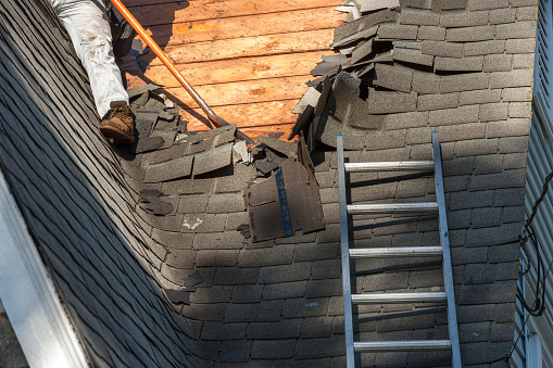 Roofers removing roof shingles with shingle remover off of steep residential roof.