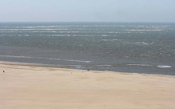 浜 - south africa coastline sea wave ストックフォトと画像