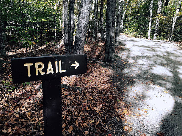 istock trail path at a trail park around Boston 541833874