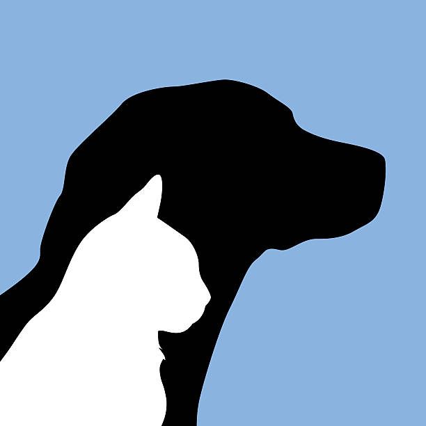 Dog And Cat Icon Vector illustration of a black white cat silhouette on a black dog silhouette against a blue square background. mixed breed dog stock illustrations