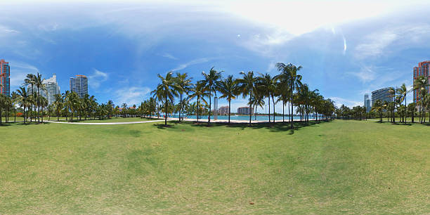 istock 360 image of a park with palm trees 541835952