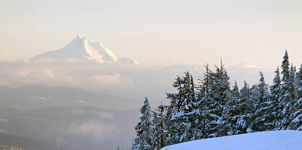 istock Mt Jefferson North Cascades Oregon Mountain Range Alpine Forest 541836982
