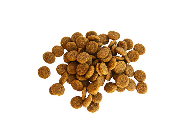 istock Dry food in granules. 541837068