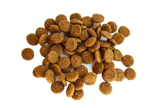 istock Food for the animals. 541837120