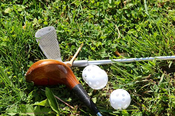istock Golf Clubs and Ball 541837250