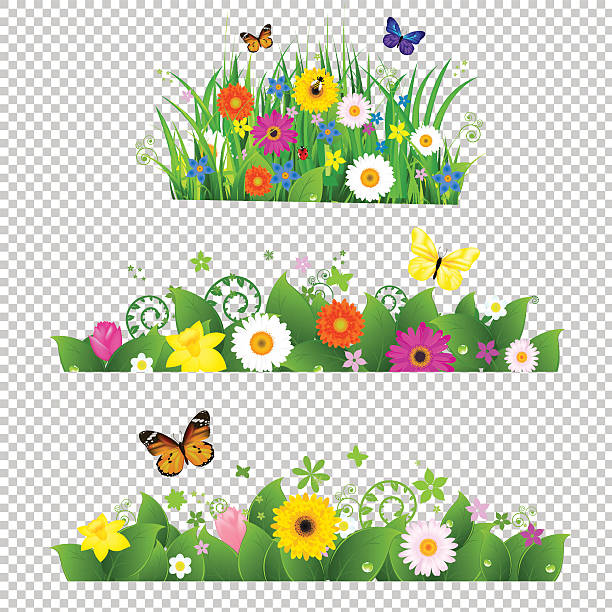 illustrations, cliparts, dessins animés et icônes de bouquet de fleurs d'été - daffodil spring flower blue
