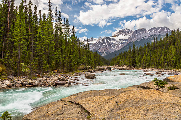 istock Mistaya River and Peaks 541844030