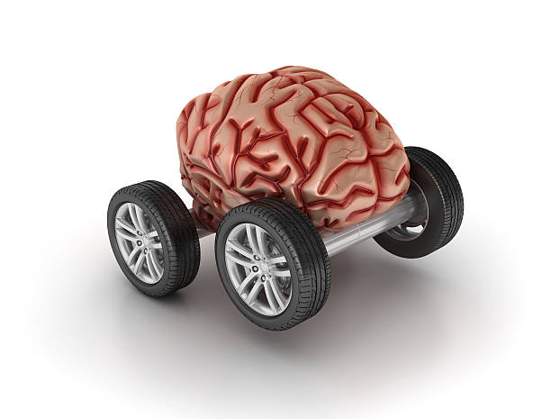 istock Car Wheels with Human Brain on White Background 541844274