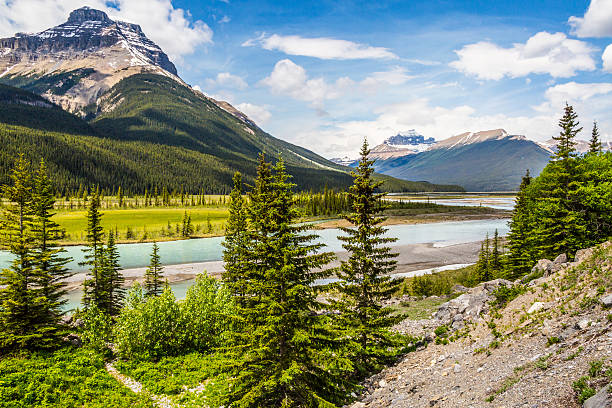 istock Canadian River in the Rocky 541844324
