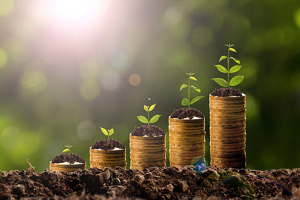 istock Money growing in soil 541845086