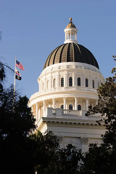 The flags fly in front of Sacramento's Capital Building