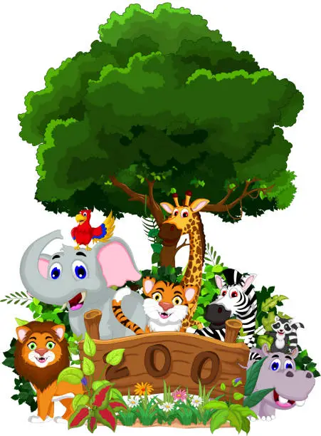 Vector illustration of zoo and the animal cartoon