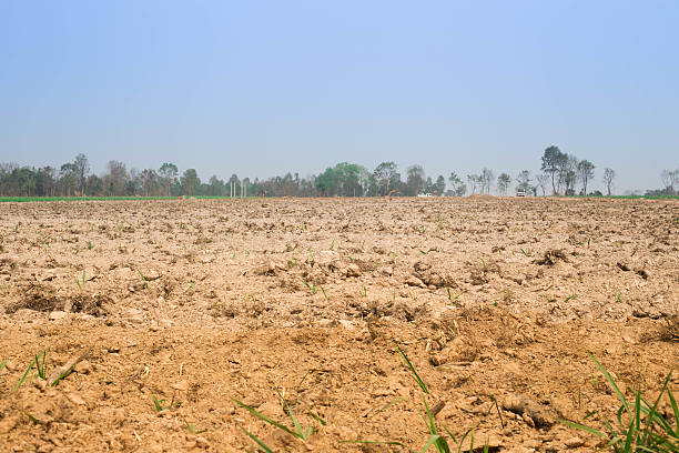 istock agricultural field that was plowed for planting 541849456
