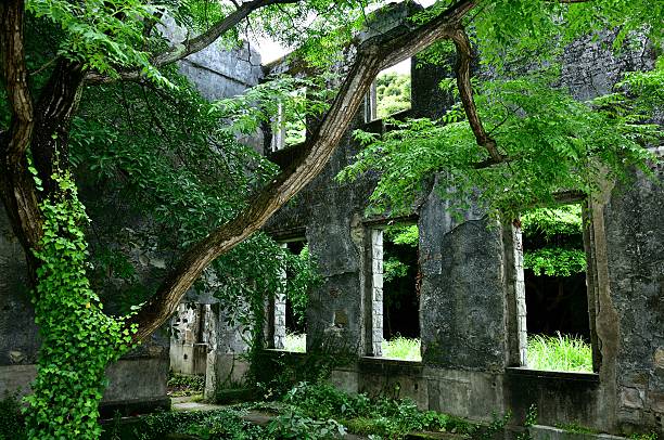 istock Ruins in green nature 541850272
