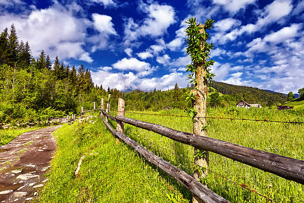 istock Fantastic sunny hills under morning sky. Dramatic panorama. 541855074