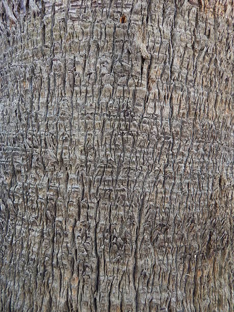 istock The texture of natural material wallpaper design 541856196