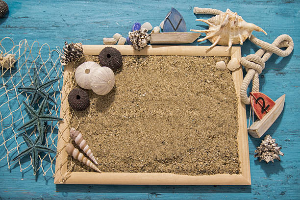 istock Seashells and starfish over white. Vacation concept . 541856320