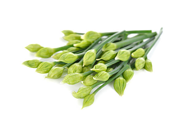 istock uncooked Chives flower or Chinese Chives on white background 541856666
