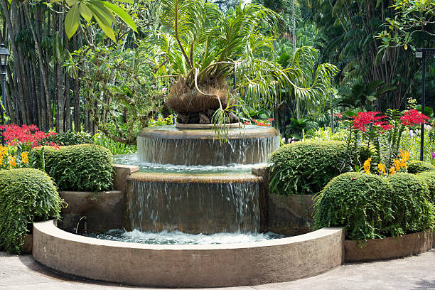 istock tropical flora fountain 541857074