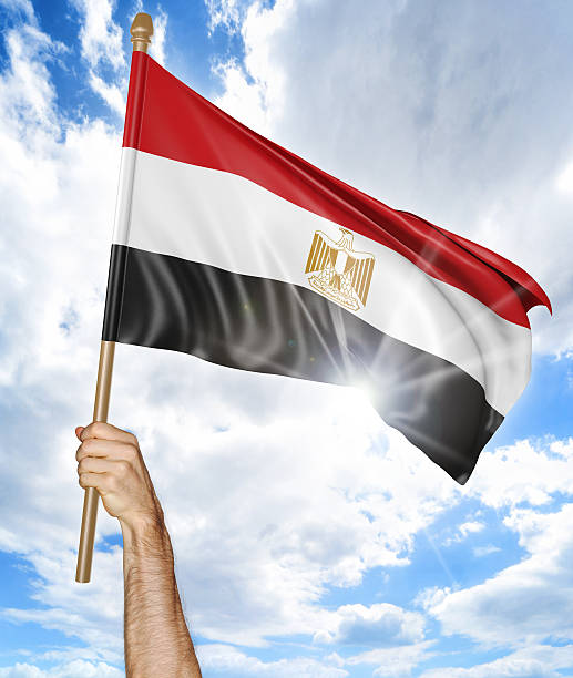 ręka osoby trzymająca egipską flagę narodową i machająca nią - egypt revolution protest egyptian culture zdjęcia i obrazy z banku zdjęć