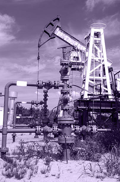 istock Pump jack and wellhead in the oilfield. 541861536
