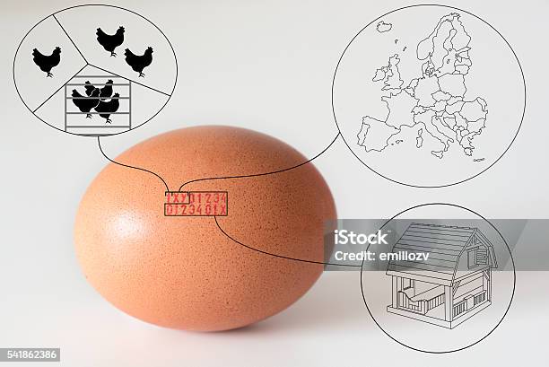 Markieren Von Codenummern Die In Eierklärungszeichnungen Gedruckt Sind Stockfoto und mehr Bilder von Ei