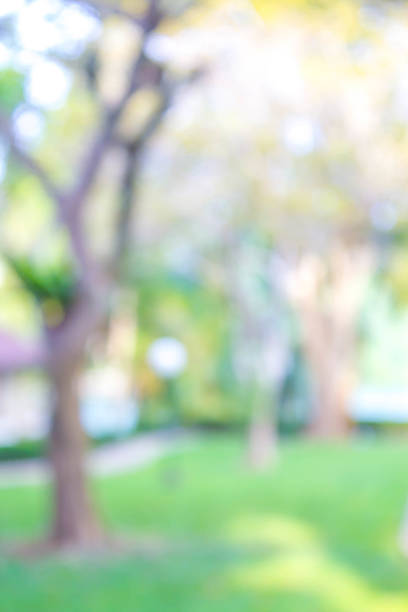istock blur background of nature 541862650