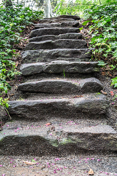 istock erored stone staircase up to the forest 541863534