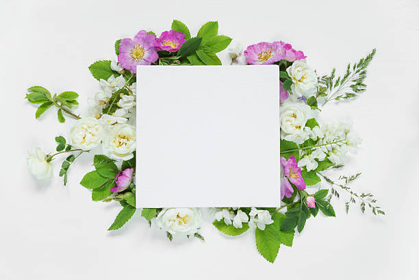 istock Scrapbook page with wild roses and white flowers 541863560