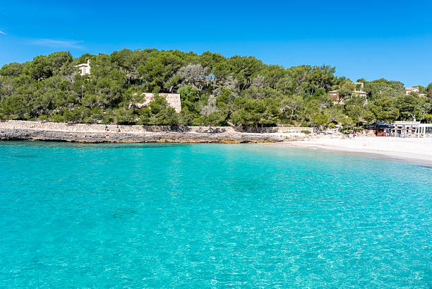 istock Cala Mondrago - beautiful beach of Mallorca 541863960