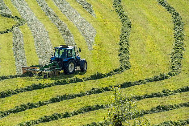 istock The tractor moving the grass on the field 541864508