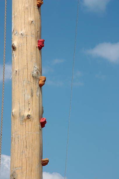 istock Wood pole for children climbing exercises 541866196