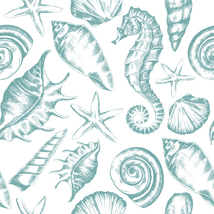 seamless pattern with seashells, starfish and seahorse sketch in retro style, vector Stock