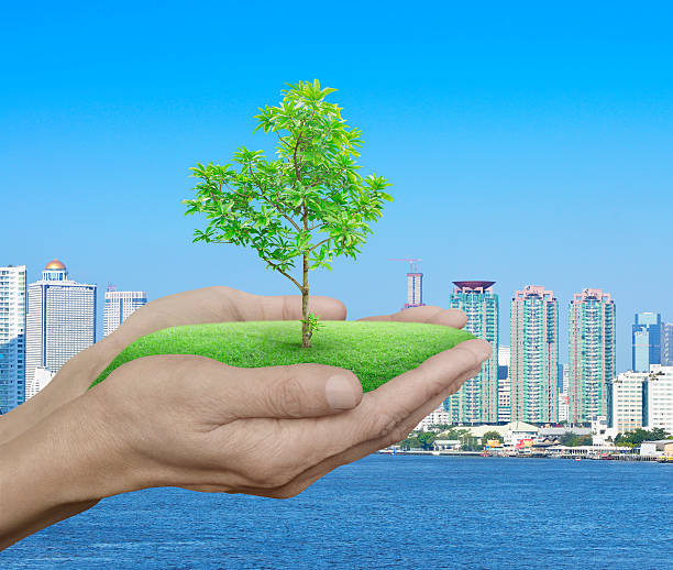 istock Growing green tree in hands over city tower and river 541867366