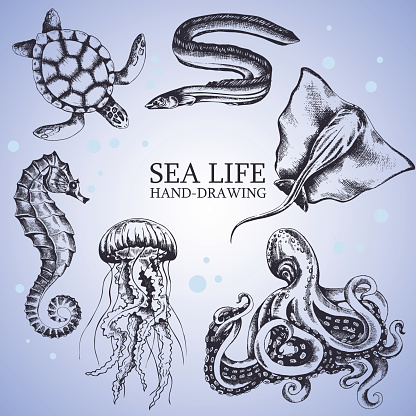 set handmade sketches sea animals isolated on white background. Underwater life, stingray, octopus, seahorse, turtle, eel, jellyfish - Stock Vector