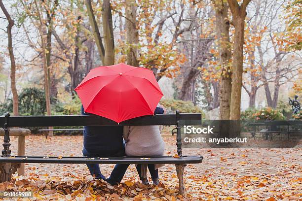 Paar Unter Regenschirm Im Herbstpark Liebe Stockfoto und mehr Bilder von Regenschirm - Regenschirm, Paar - Partnerschaft, Herbst