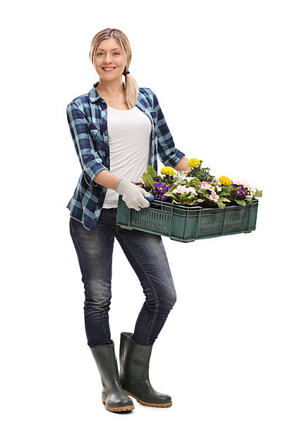 woman holding a rack of flowers - women young adult isolated length imagens e fotografias de stock