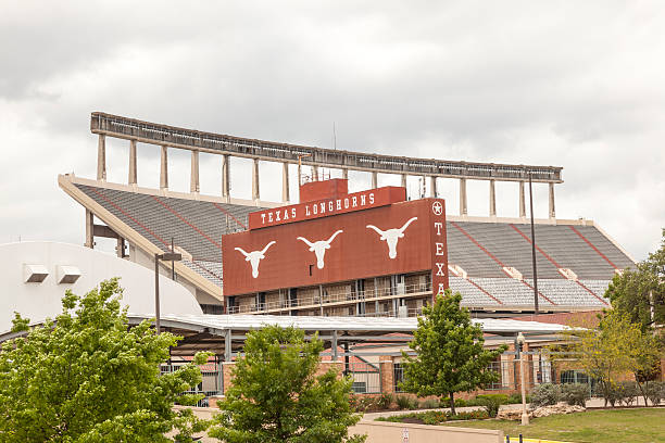 stade de l'university du texas à austin. - texas longhorn cattle photos et images de collection