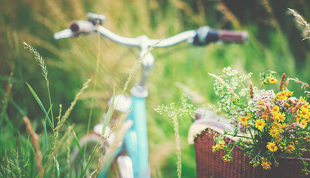 Light blue bicycle is parked with wild flowers in basket A light blue bicycle is parked bicycle basket stock pictures, royalty-free photos & images