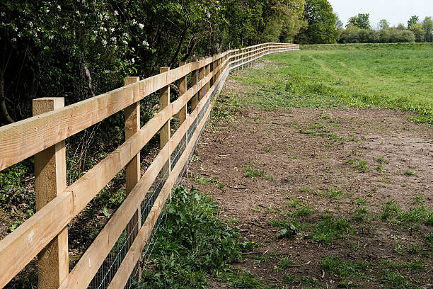 istock Newly erected fence at a farmyard 541975574
