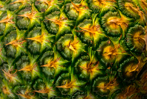 Macro shot of an pineapple skin.